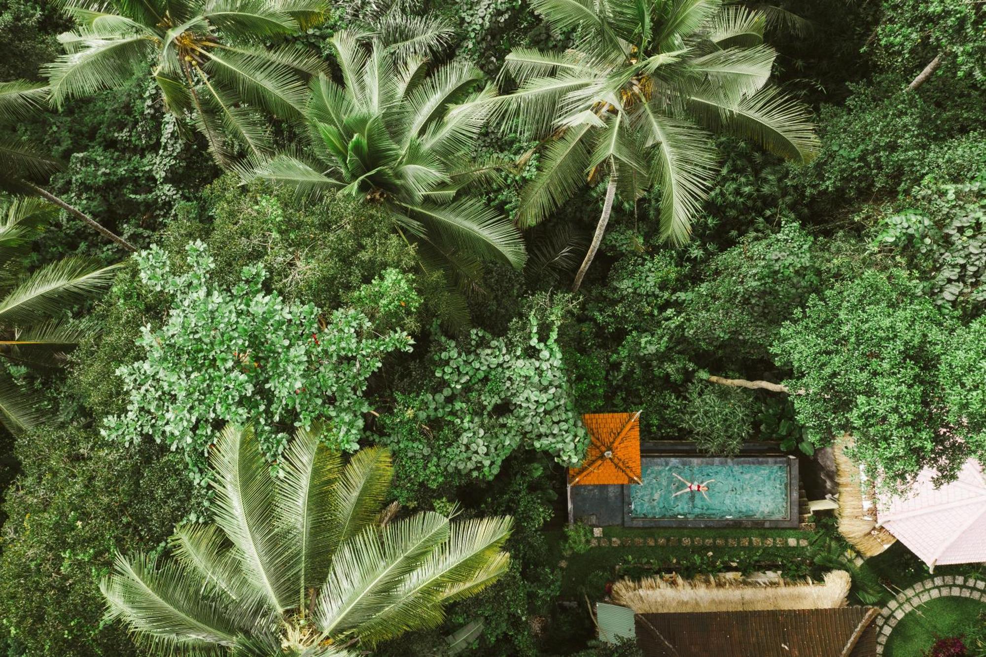 The Nest In Ubud, Bembengan Acomodação com café da manhã 